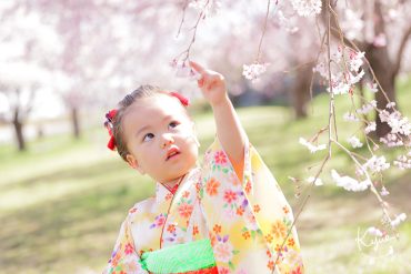 %e6%a1%9c%e3%82%b7%e3%83%bc%e3%82%ba%e3%83%b3%e3%81%ae%e4%b8%83%e4%ba%94%e4%b8%89%e6%92%ae%e5%bd%b1%e3%80%9c%e5%85%ab%e7%8e%8b%e5%ad%90%e3%83%ad%e3%82%b1%e3%83%bc%e3%82%b7%e3%83%a7%e3%83%b3%e3%80%9c